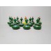 Subbuteo Andrew Table Soccer Panathinaikos 2018-19 on Classic Hasbro Bases